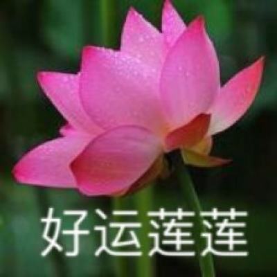 台湾花莲地震遇难人数升至10人